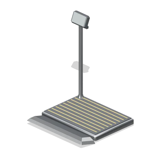 Pet weighing platform (Primary Care Clinic and Veterinary Practice)