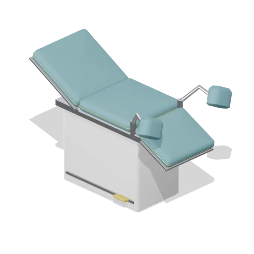 Minor procedures couch with stirrups (Primary Care Clinic and Veterinary Practice)