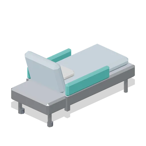 Day Bed (Hospital Wards and Clinic Operations)