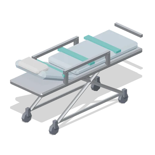 Stretcher (Hospital Wards and Clinic Operations)