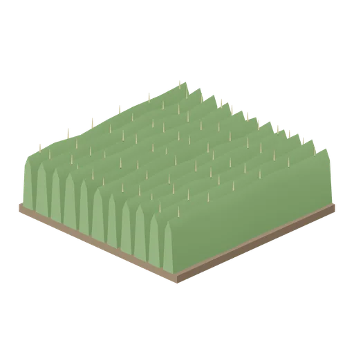 Field tile, standing maize (Arable Fields and Farm Machinery)