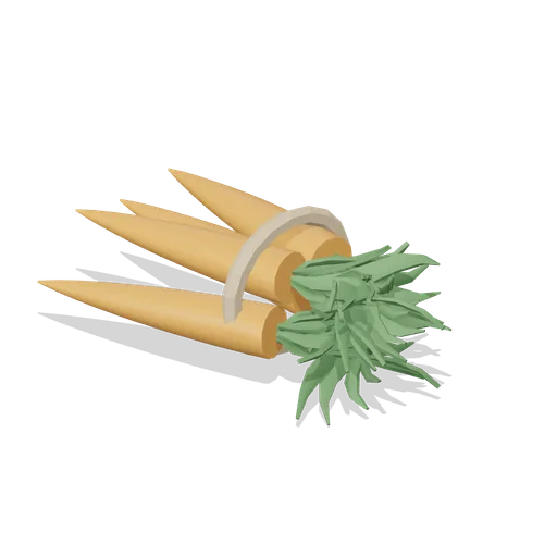Carrot Bunch (Fresh Produce and Groceries)