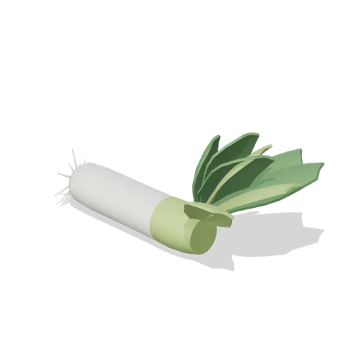 Leek (Fresh Produce and Groceries)