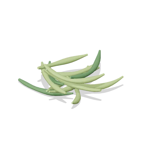 Green Beans (Fresh Produce and Groceries)