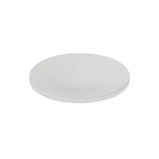 Dinner plate (Restaurant Kitchen and Dining Room)