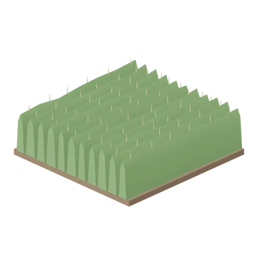 Field tile, standing maize (Arable Fields and Farm Machinery)