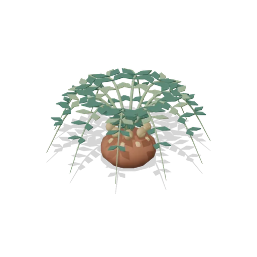 Cycad: Ground Rosette (Primeval Frontier: Dinosaur Worlds)