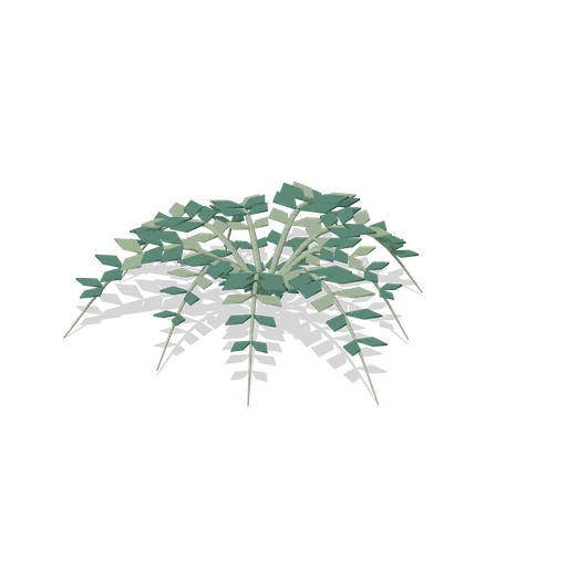 Forest Floor Fern (Primeval Frontier: Dinosaur Worlds)