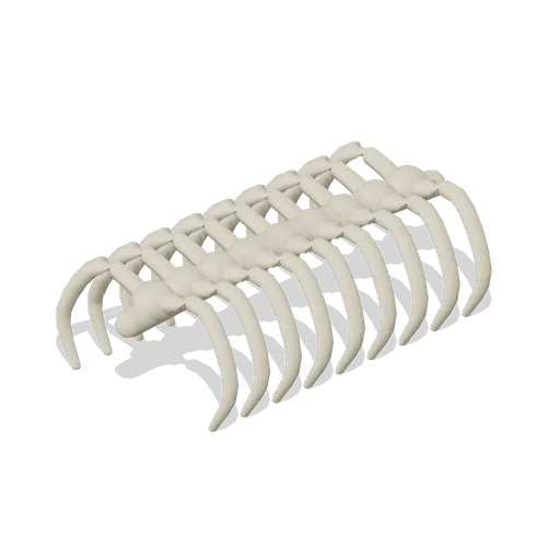 Exposed Ribcage Fossil (Primeval Frontier: Dinosaur Worlds)
