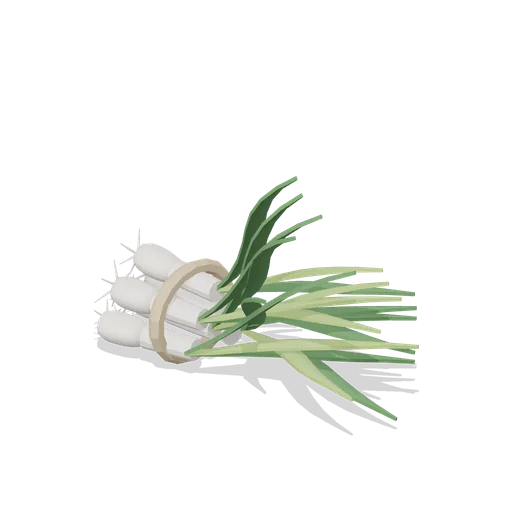 Spring Onion Bunch (Fresh Produce and Groceries)