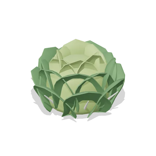Green Cabbage (Fresh Produce and Groceries)