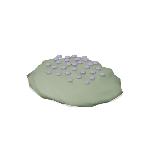 Moss campion cushion (Snow, Ice and Mountain Nature)