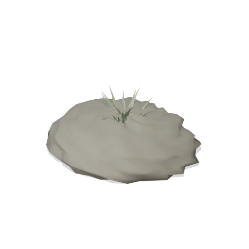 Tundra hummock (Alpine and Arctic Biomes)