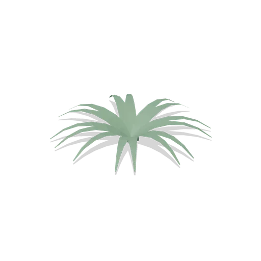 Agave rosette (Desert Canyons and Oases)