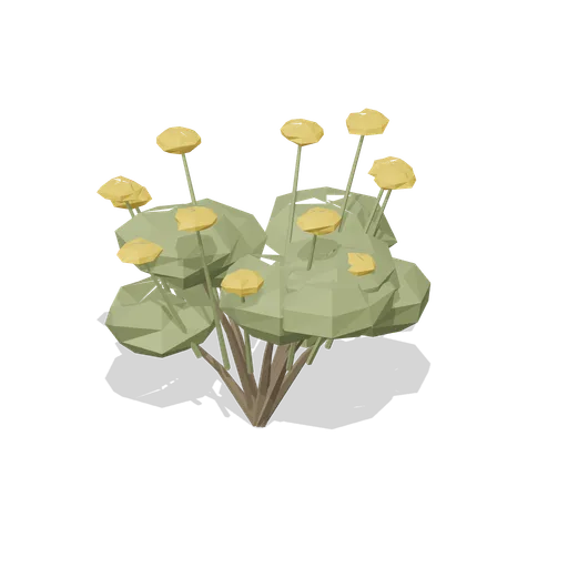 Brittlebush (Desert Canyons and Oases)