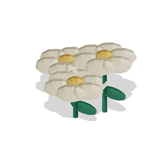 Daisy patch (Turning Seasons)