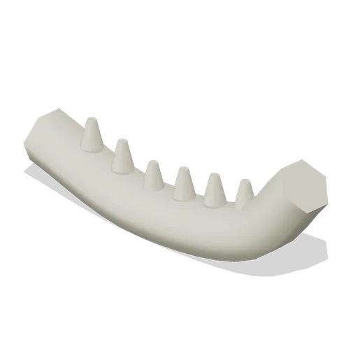 Jaw Fragment (Prehistoric Expedition Sites)