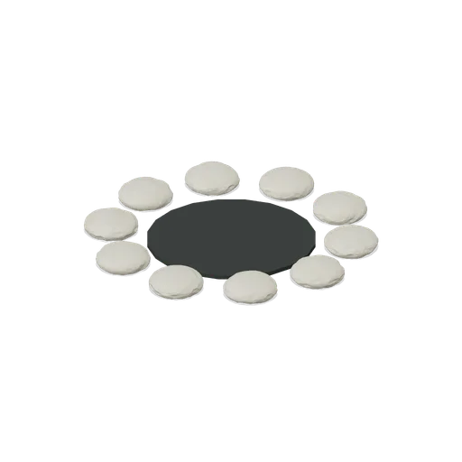 Stone Fire Ring (First Night Survival)