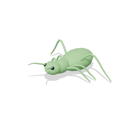 grasshopper (Reptiles, Amphibians and Minibeasts)