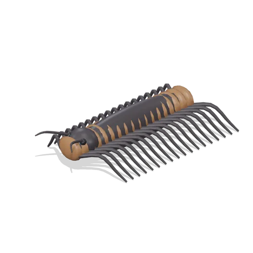 giant centipede (Reptiles, Amphibians and Minibeasts)