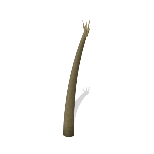 Dead swamp palm trunk (Swamp and Mangrove)