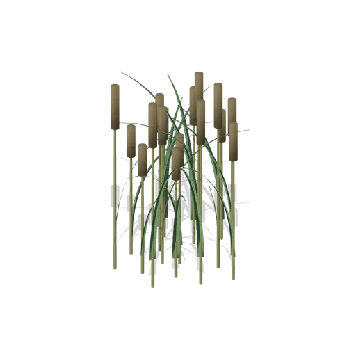 Cattail clump (Swamp and Mangrove)