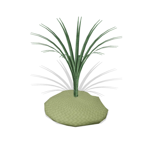 Sedge tussock (Swamp and Mangrove)