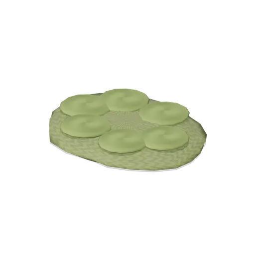 Floating algae mat (Swamp and Mangrove)