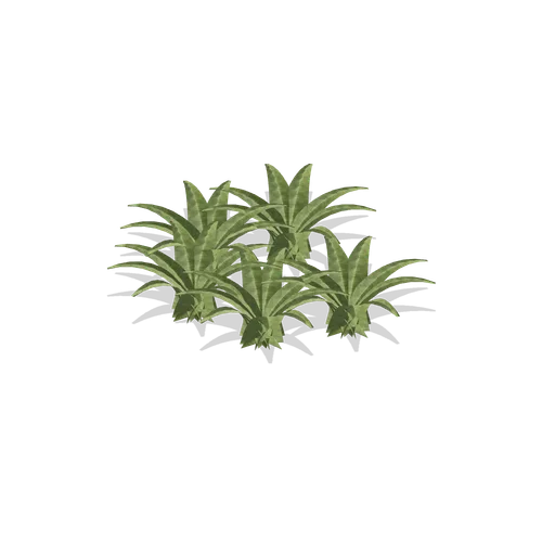 Water lettuce cluster (Swamp and Mangrove)