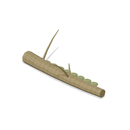Lichen-crusted branch (Swamp and Mangrove)