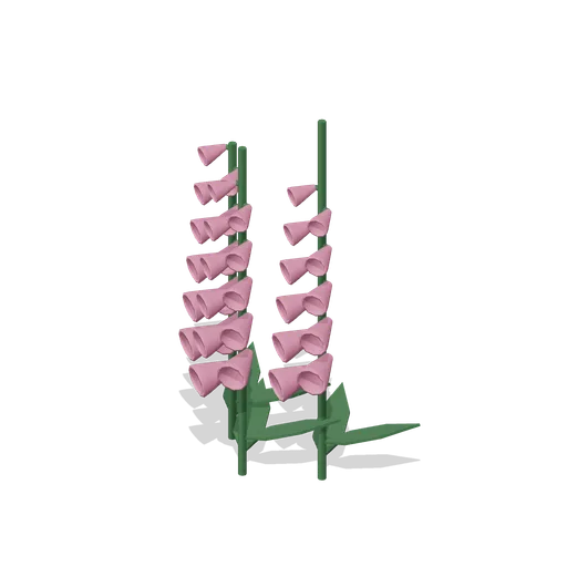 Foxglove spires (Almanac Gardens)