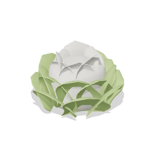 Iceberg Lettuce (Food, Fresh Produce and Groceries)
