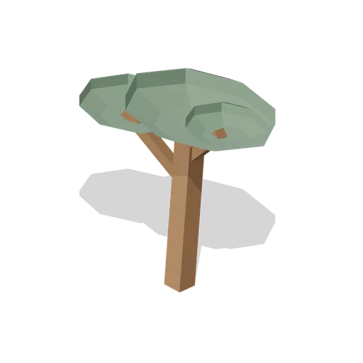 Tidal wind-shaped pine
