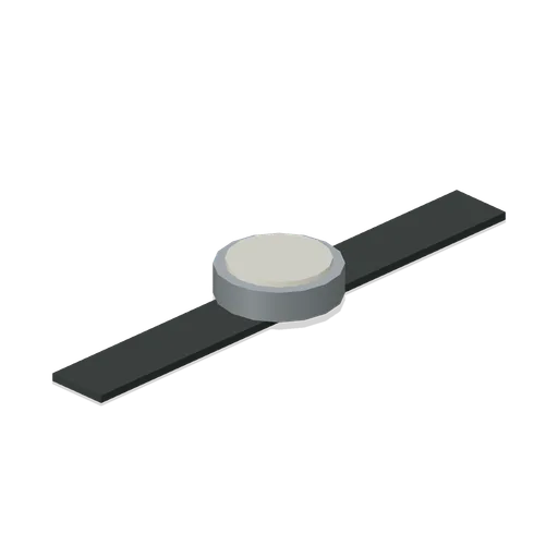Wristwatch (Scavenger’s Loot Library)