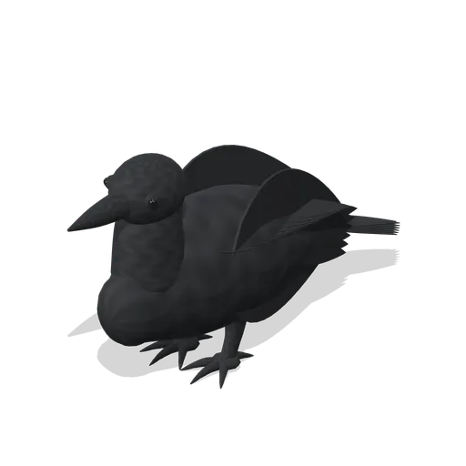 Common raven (Birds and Reptiles HD)