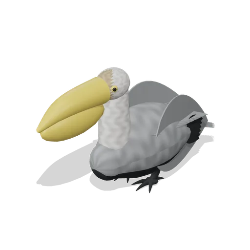 Brown pelican (Birds and Reptiles HD)