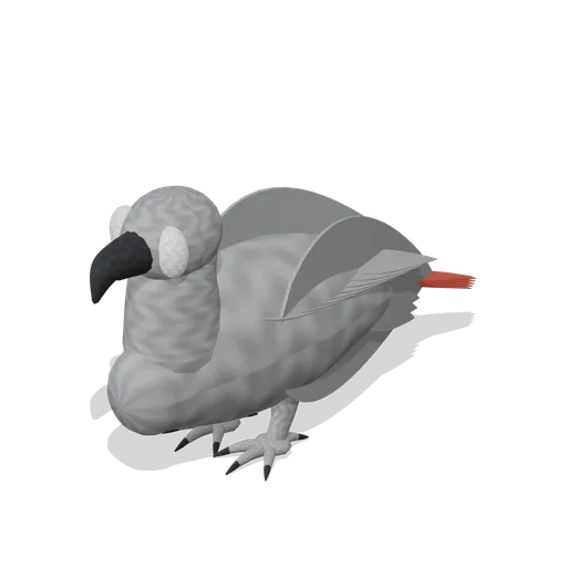 African grey parrot (Birds and Reptiles HD)
