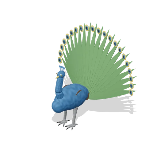 Indian peacock displaying (Birds and Reptiles HD)