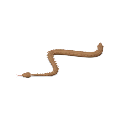 Corn snake (Birds and Reptiles HD)