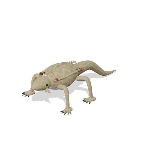 Bearded dragon (Birds and Reptiles HD)