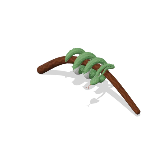 Green tree python coiled (Birds and Reptiles HD)