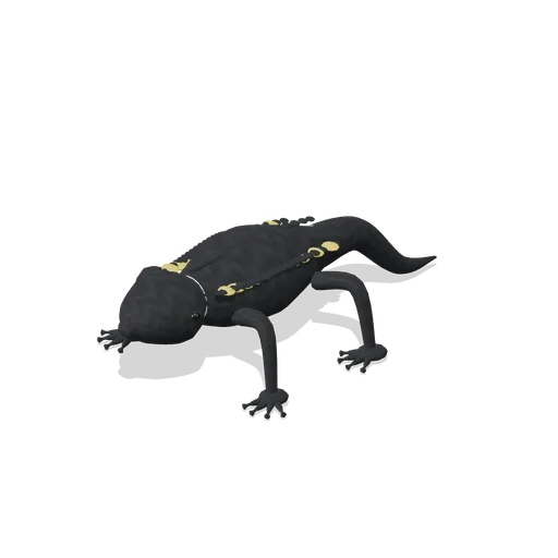 Fire salamander (Birds and Reptiles HD)