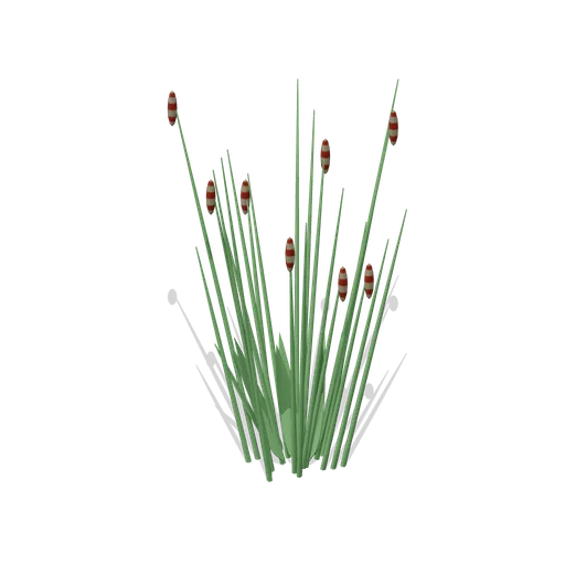 Reed clump (Birds and Reptiles HD)