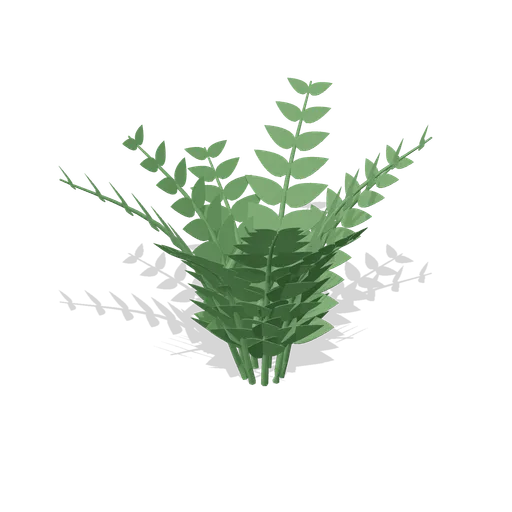 Fern clump (Birds and Reptiles HD)