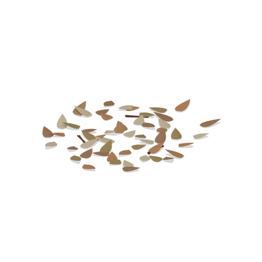 Leaf litter patch (Birds and Reptiles HD)