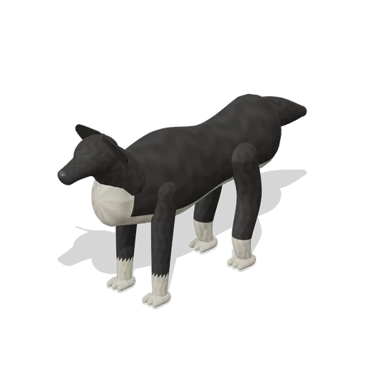 Border Collie (Pets and Companions HD)