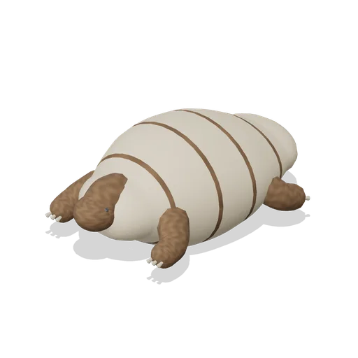 Tortoise (Pets and Companions HD)