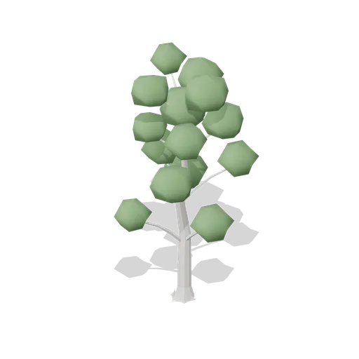 Beech Tree Old (Dense Temperate Forest Flora)