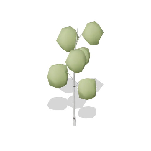 Silver Birch Young (Dense Temperate Forest Flora)