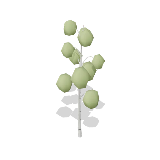 Silver Birch Mature (Dense Temperate Forest Flora)